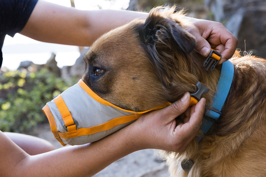 Adjusting the BackTrak first-aid muzzle